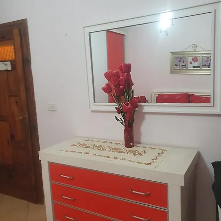 House Vata Shkodra
